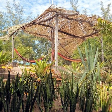 Nzuwa Lodge Pemba Kültér fotó