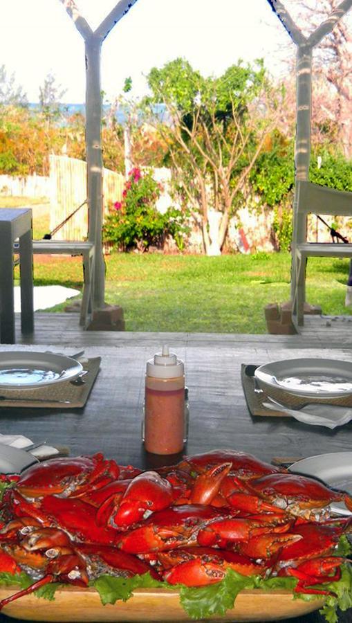 Nzuwa Lodge Pemba Kültér fotó