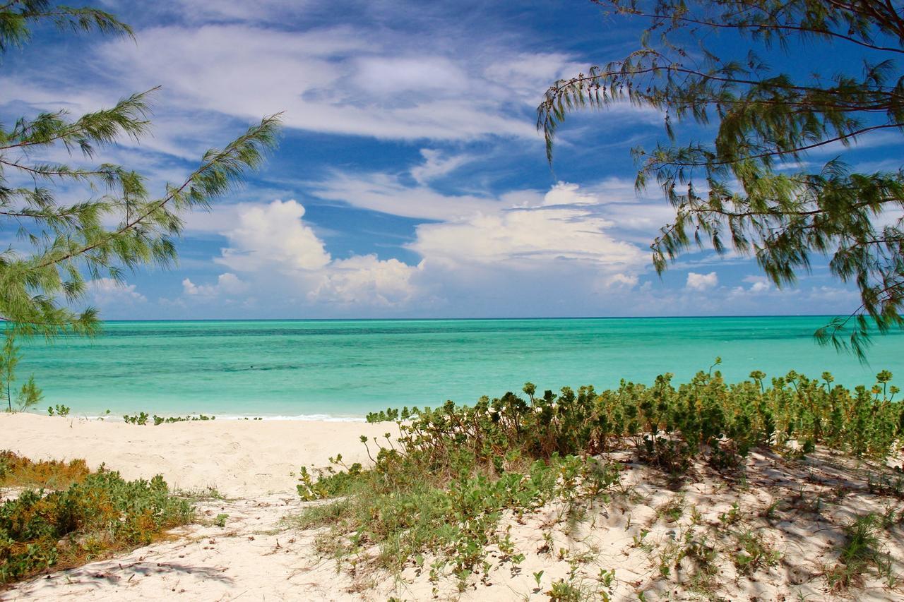Nzuwa Lodge Pemba Kültér fotó